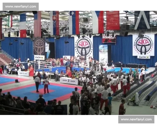 全球搏击赛事汇聚 震撼对决与竞技精神的极限挑战